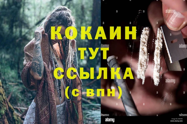 спайс Алексин