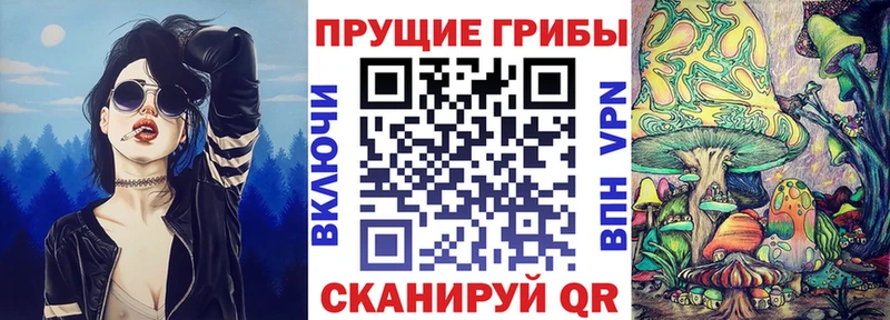 Псилоцибиновые грибы прущие грибы  блэк спрут ссылка  Снежногорск 