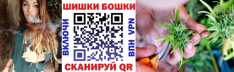 Шишки марихуана семена  Снежногорск 